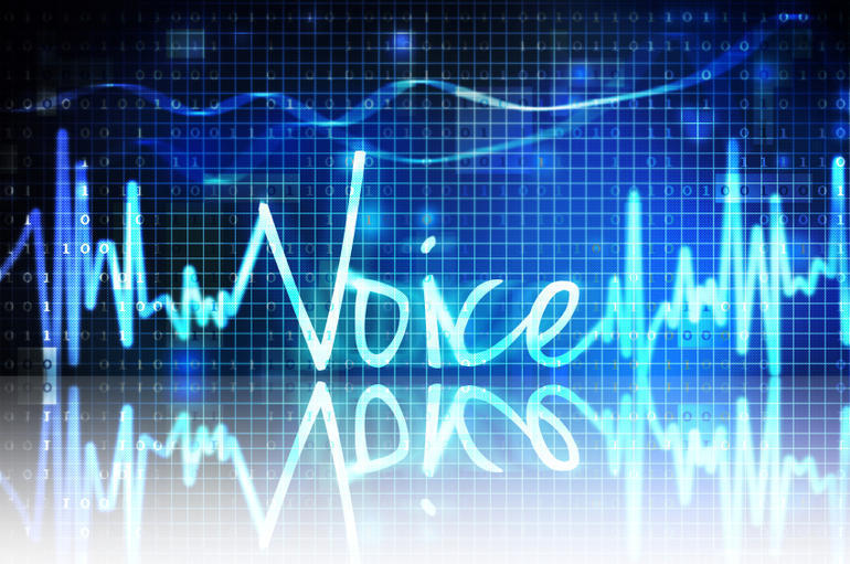 Voice-based channels in payments